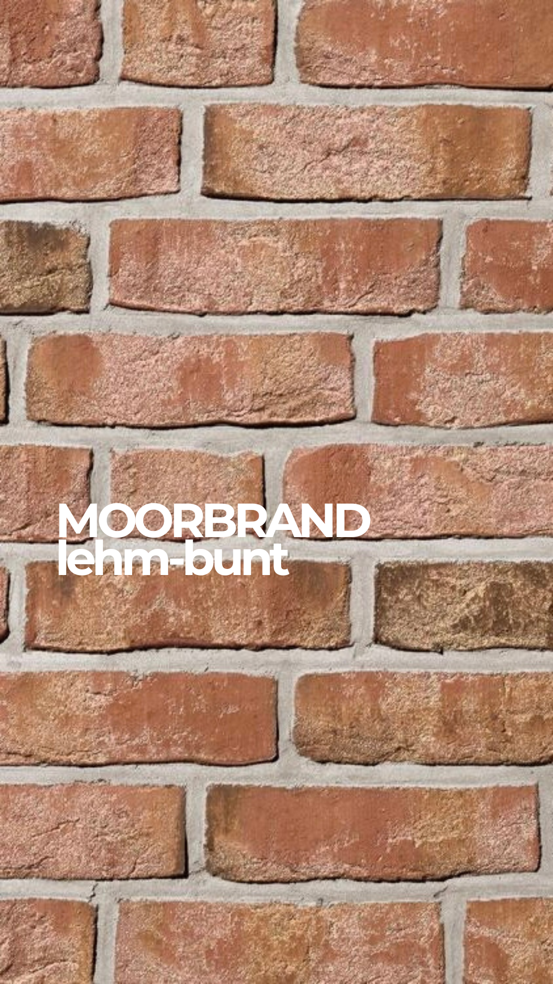 Кирпич клинкерный Roben Moorbrand lehm-bunt