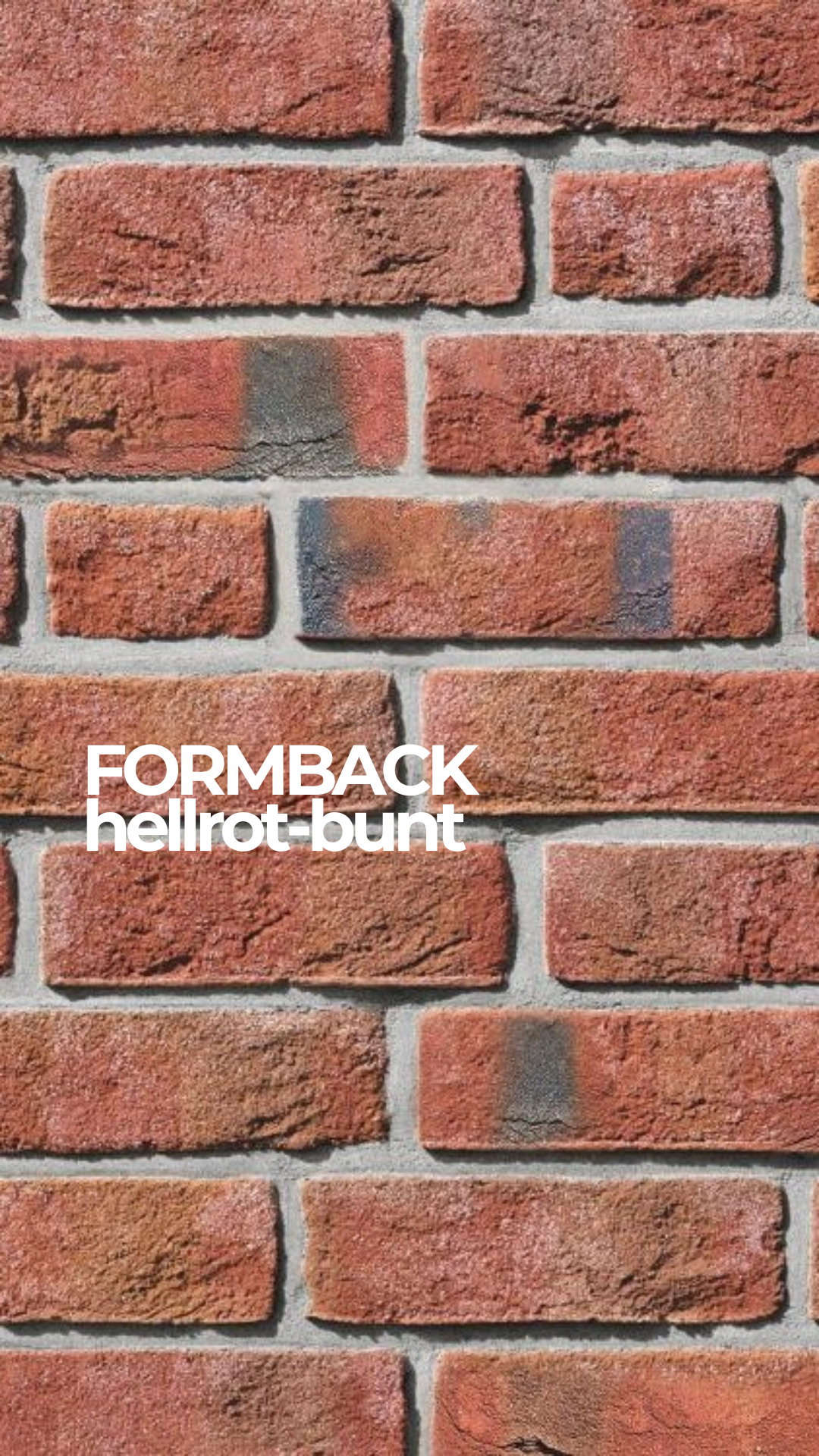 Кирпич клинкерный Roben Formback hellrot-bunt