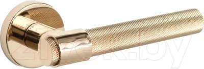 Ручка дверная system axel-t gl
