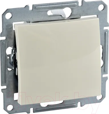 Декоративная заглушка для розетки Schneider Electric Sedna SDN5600147