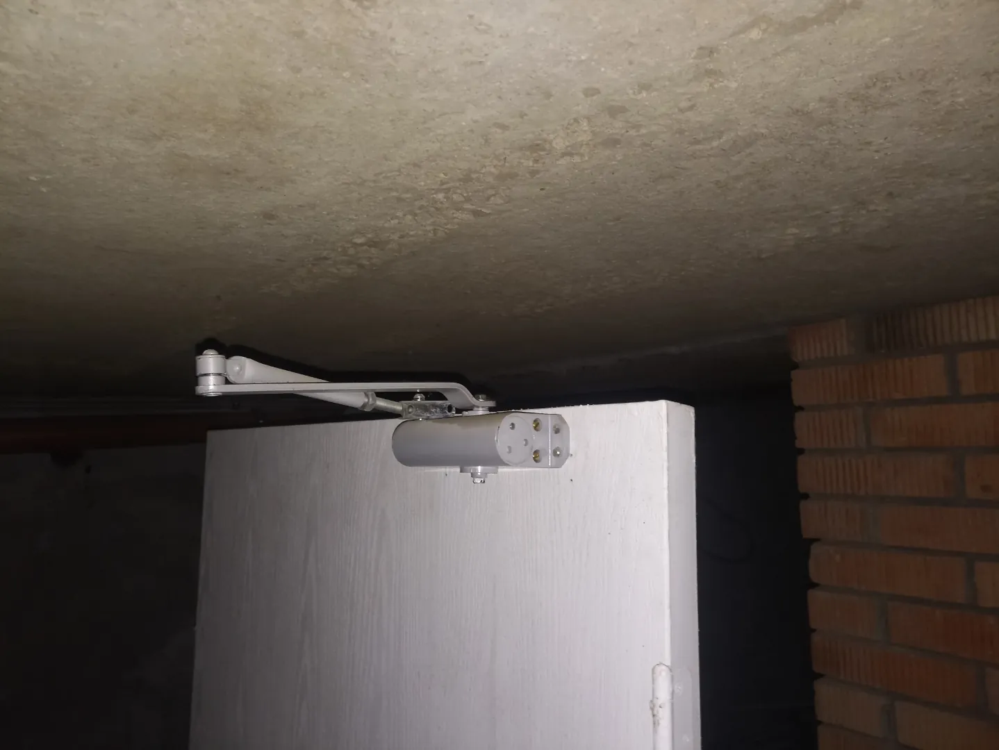 Входные деревянные двери