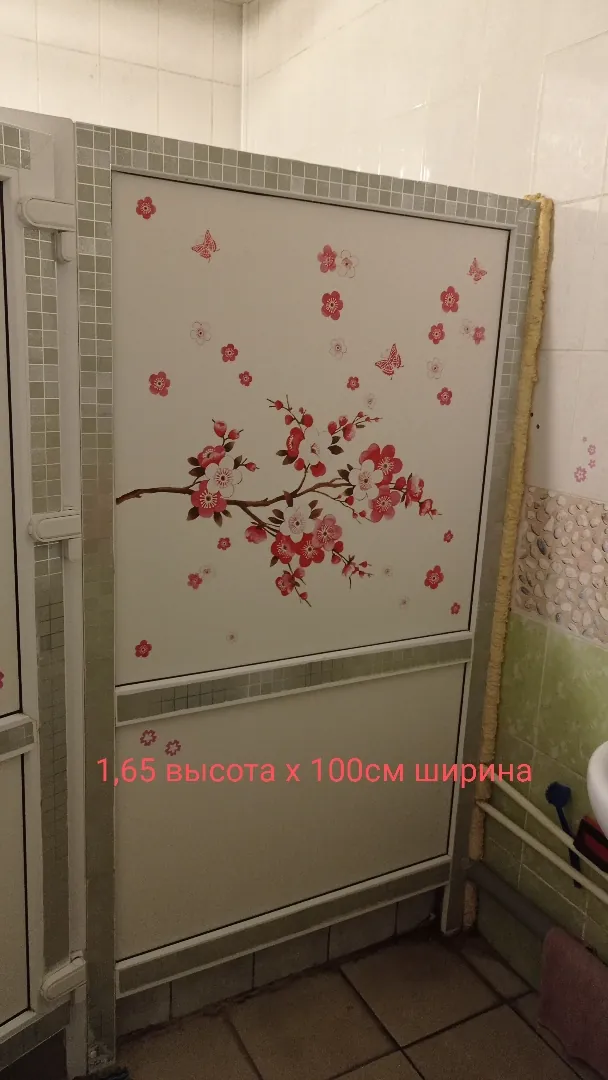 Пластиковые перегородки, дверь