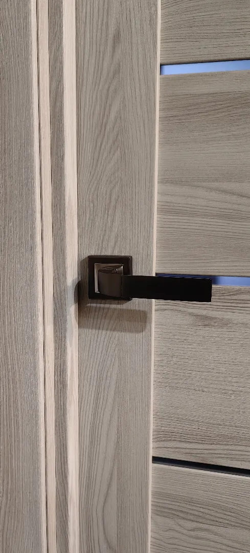 Межкомнатные двери экошпон